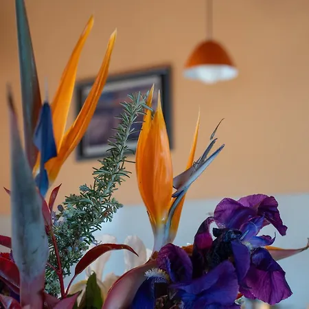 Apartment Strada Casai 19 - Turistico In Con Giardino E Posto Auto *